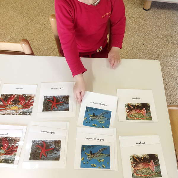53 gallery attivita montessori pgina infanzia