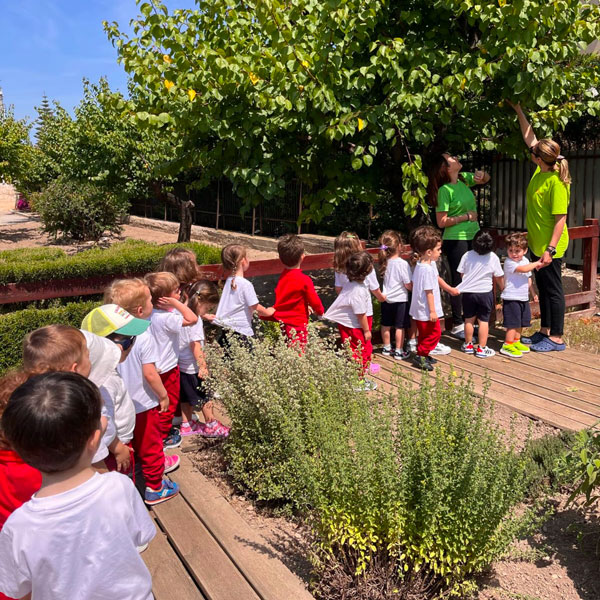 88-gallery-pagina-nido-kindergarten